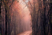 如何開(kāi)展水土保持現(xiàn)場(chǎng)巡視工作？